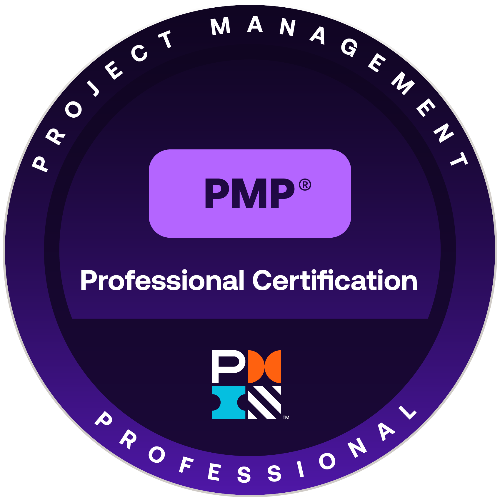 Project Mgmt Professionals - PMP® Project Management